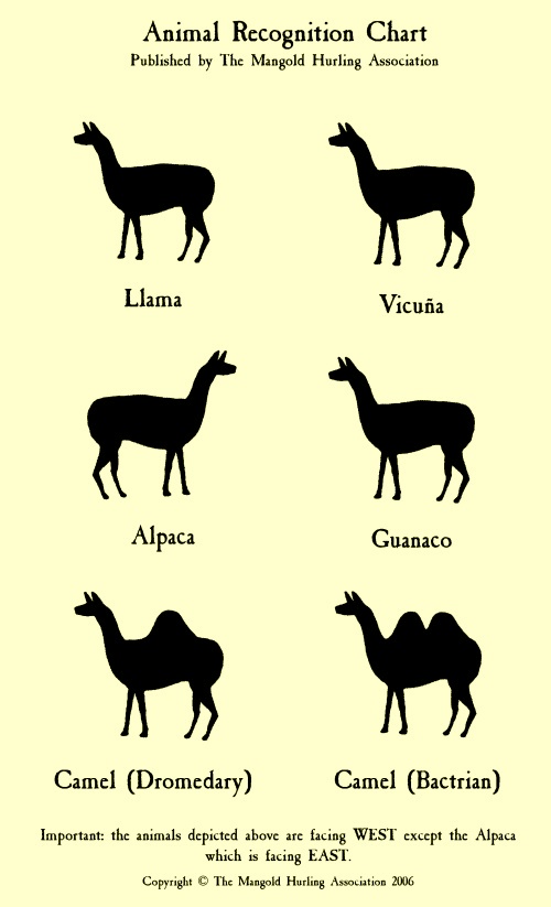 Animal recognition chart