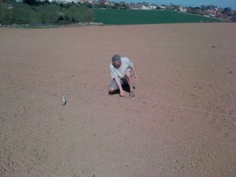 Sowing mangold seeds