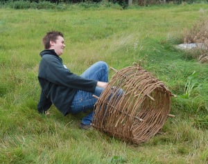 A mangold hurler coming a cropper