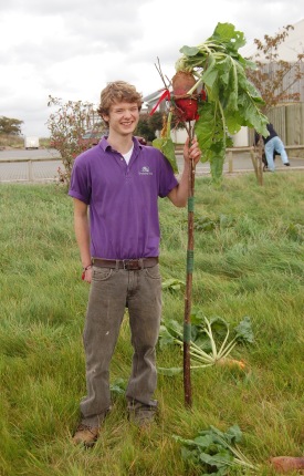 The Mangold King, Gillingham 2008