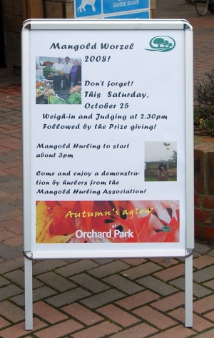 Orchard Park 2008