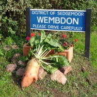Mangolds arranged tastefully around a Wembdon sign